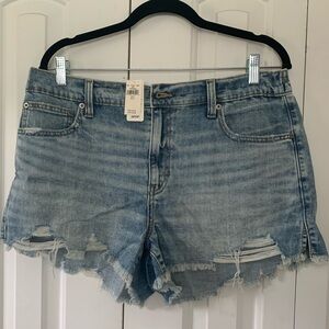NWT Aerie Daydream Sz L Denim Short in Light Blue